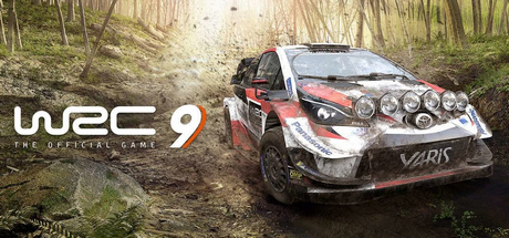 WRC FIA 9